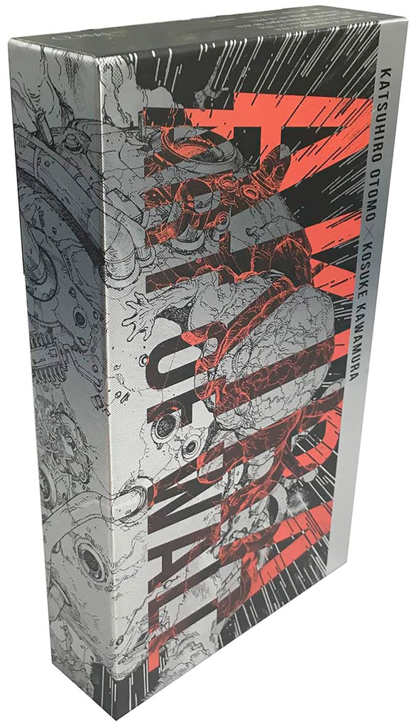 akira_art_of_wall Akira art of wall special edition